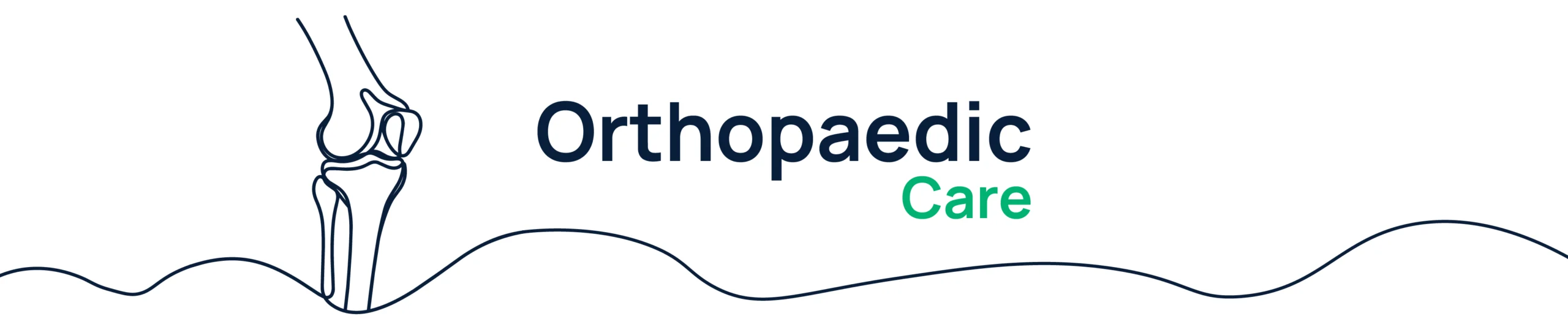 Orthopaedic
